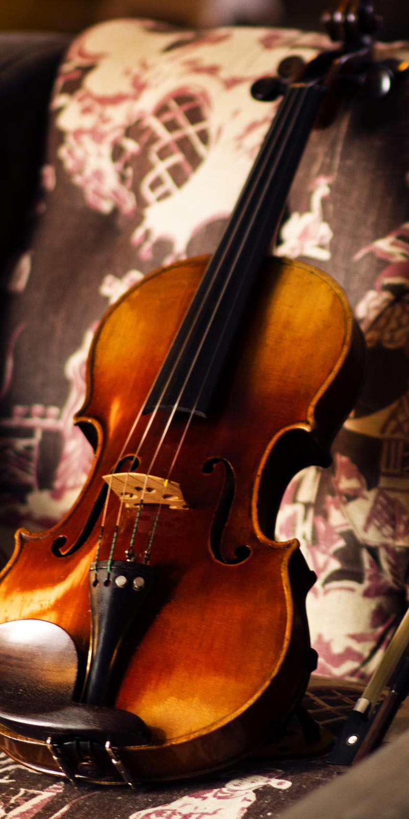 Música de violín para eventos y bodas